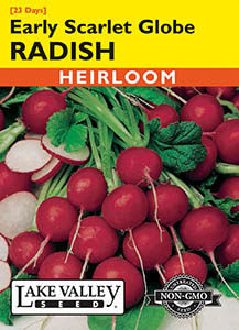 RADISH EARLY SCARLET GLOBE  HEIRLOOM