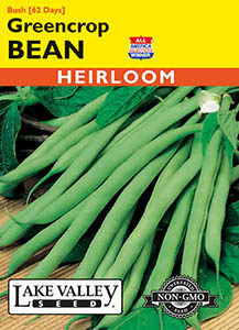 BEAN BUSH GREENCROP  HEIRLOOM