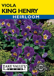 VIOLA KING HENRY  HEIRLOOM