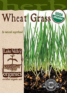 ORGANIC WHEAT GRASS