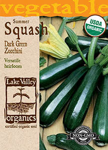 ORGANIC SQUASH SUMMER ZUCCHINI DARK GREEN HEIRLOOM