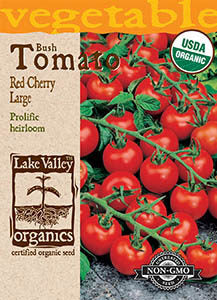 ORGANIC TOMATO BUSH RED CHERRY LARGE  HEIRLOOM