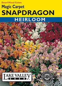 SNAPDRAGON MAGIC CARPET DWARF MIXED COLORS