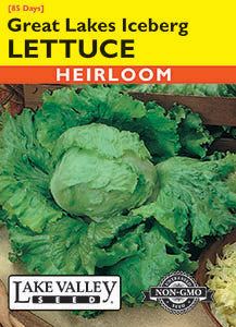 LETTUCE GREAT LAKES ICEBERG  HEIRLOOM