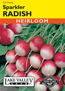 RADISH SPARKLER   HEIRLOOM