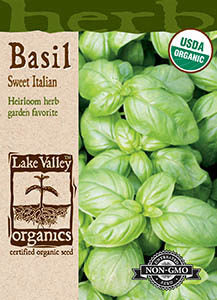 ORGANIC BASIL SWEET ITALIAN  HEIRLOOM