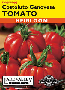 TOMATO POLE COSTOLUTO GENOVESE  HEIRLOOM