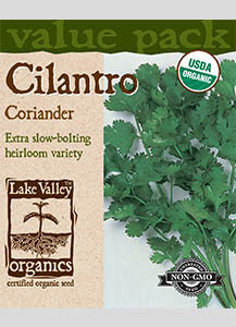 ORGANIC CILANTRO (CORIANDER) VP  HEIRLOOM