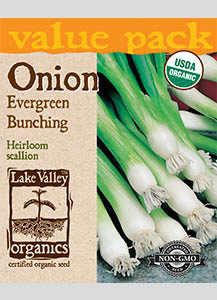 ORGANIC ONION EVERGREEN BUNCHING VP  HEIRLOOM