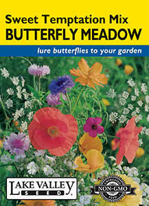 BUTTERFLY MEADOW SWEET TEMPTATION MIX