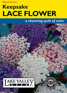 LACE FLOWER KEEPSAKE MIX