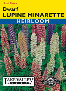 LUPINE MINARETTE DWARF MIXED COLORS  HEIRLOOM