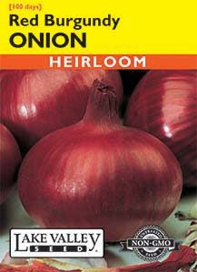 ONION RED BURGUNDY