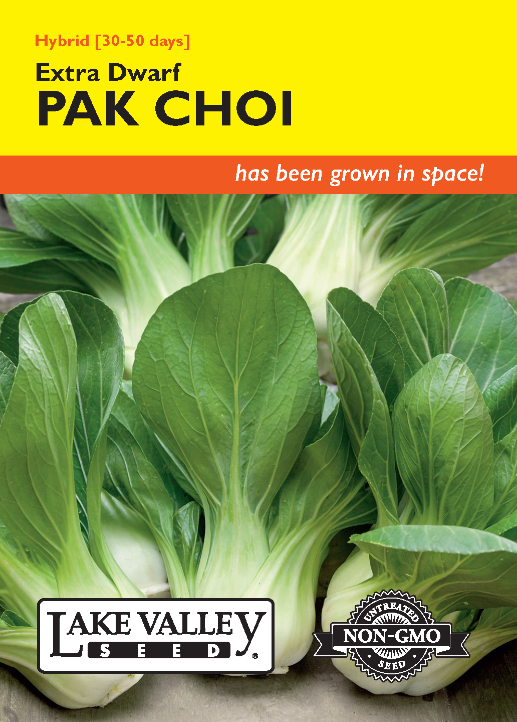 Pak Choi Extra Dwarf