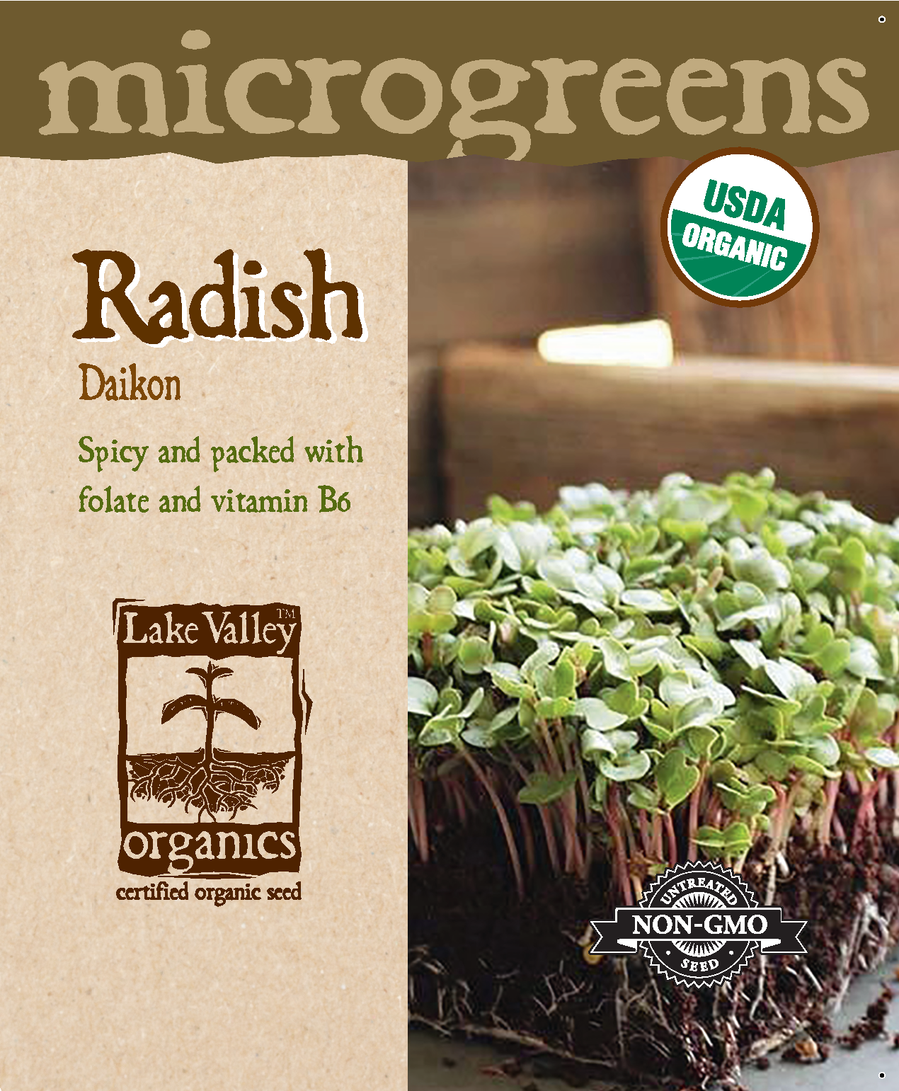 MICROGREEN - RADISH
