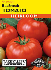 TOMATO POLE BEEFSTEAK   HEIRLOOM