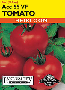 TOMATO BUSH ACE 55 VF  HEIRLOOM