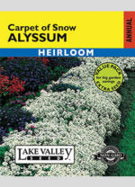 ALYSSUM CARPET OF SNOW VP   HEIRLOOM