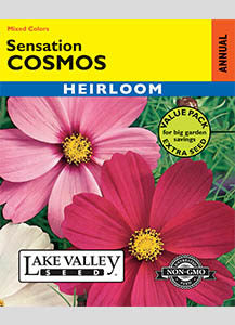 COSMOS SENSATION MIXED COLORS VP  HEIRLOOM