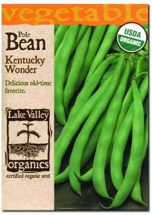 ORGANIC BEAN POLE KENTUCKY WONDER   HEIRLOOM