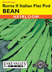 BEAN BUSH ROMA II ITALIAN FLAT-POD  HEIRLOOM