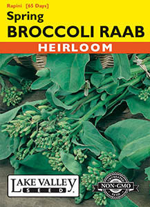 BROCCOLI RAAB SPRING (RAPINI)   HEIRLOOM