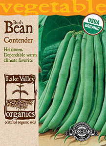 ORGANIC BEAN BUSH CONTENDER  HEIRLOOM