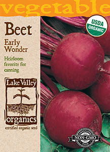 ORGANIC BEET EARLY WONDER  HEIRLOOM