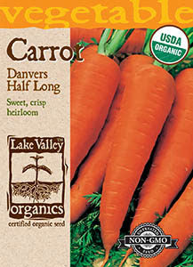 ORGANIC CARROT DANVERS HALF LONG   HEIRLOOM