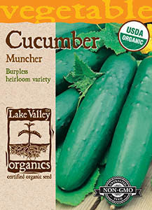 ORGANIC CUCUMBER MUNCHER   HEIRLOOM