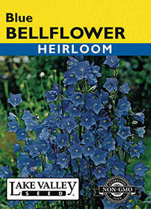 BELLFLOWER PEACH-LEAVED BLUE  HEIRLOOM