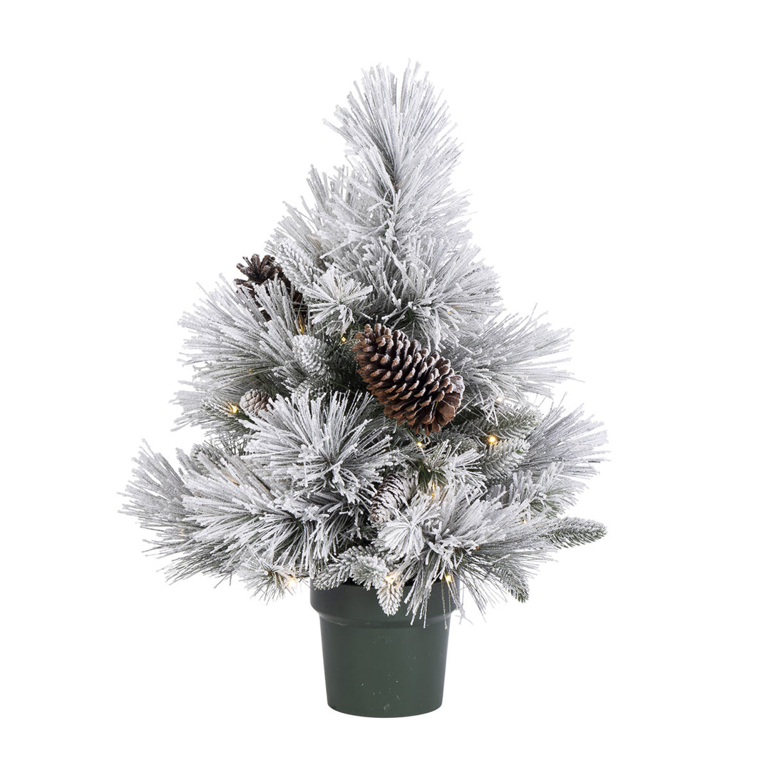 2' Lightly Flocked Potted Snowball Pine