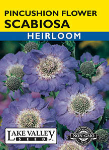 SCABIOSA PINCUSHION  HEIRLOOM