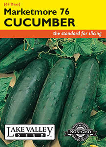 CUCUMBER MARKETMORE 76