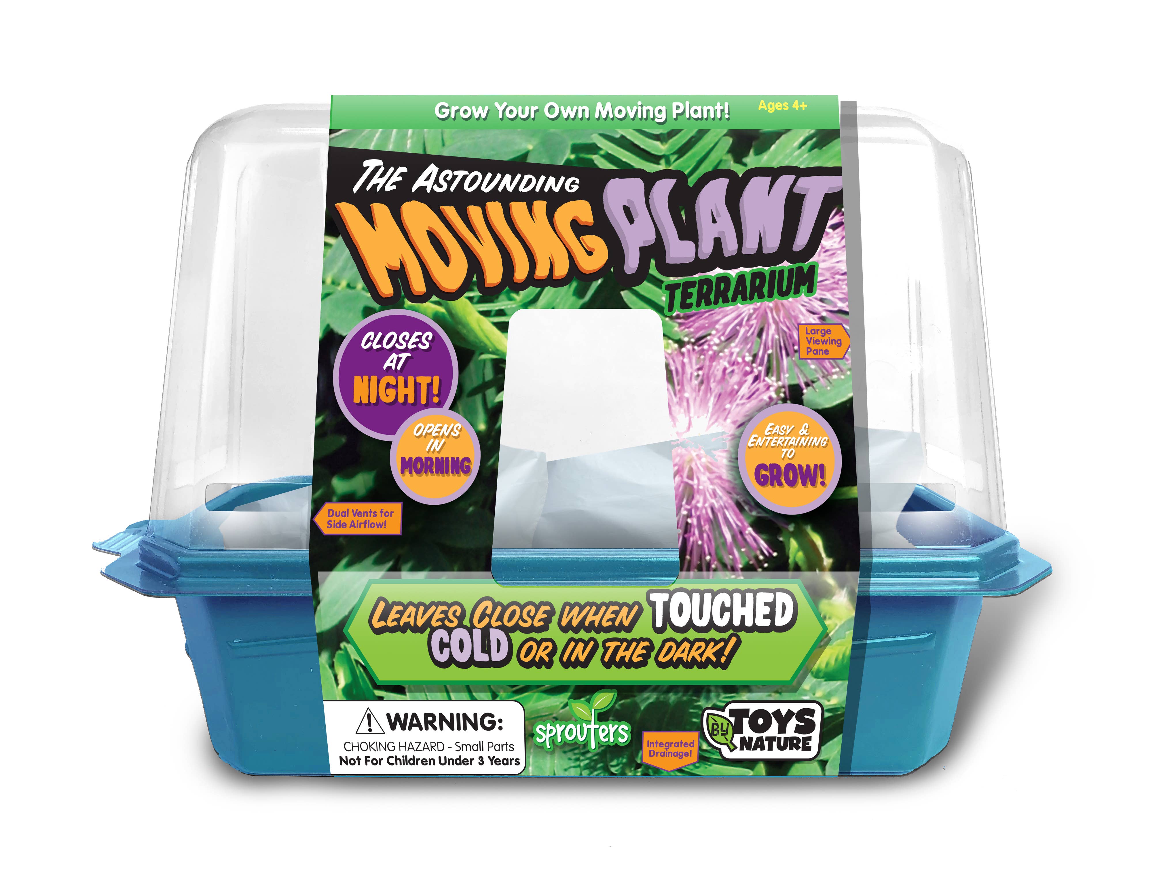 Astounding Moving Plant Terrarium – Pandy's Garden Center
