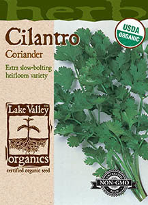 ORGANIC CILANTRO (CORIANDER)   HEIRLOOM