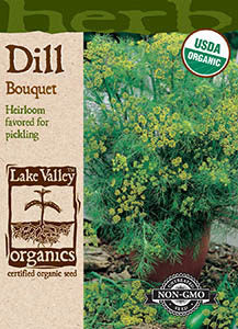 ORGANIC DILL BOUQUET  HEIRLOOM