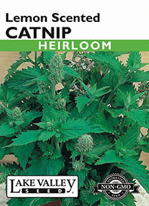 CATNIP LEMON SCENTED HEIRLOOM