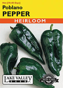 PEPPER HOT POBLANO (MILDLY HOT)  HEIRLOOM