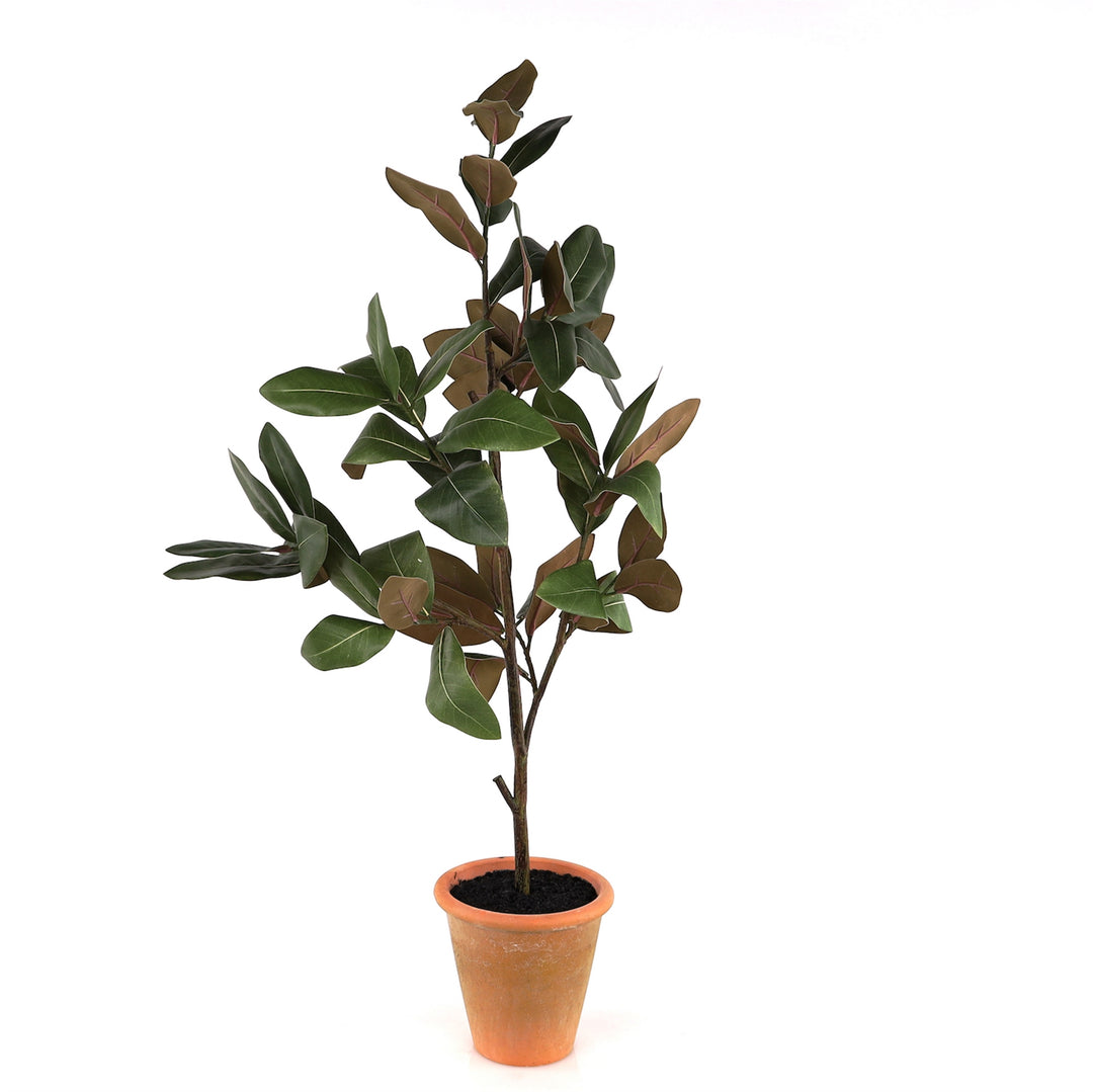 Potted Magnolia Sapling 41"H Polyester/Terra Cotta