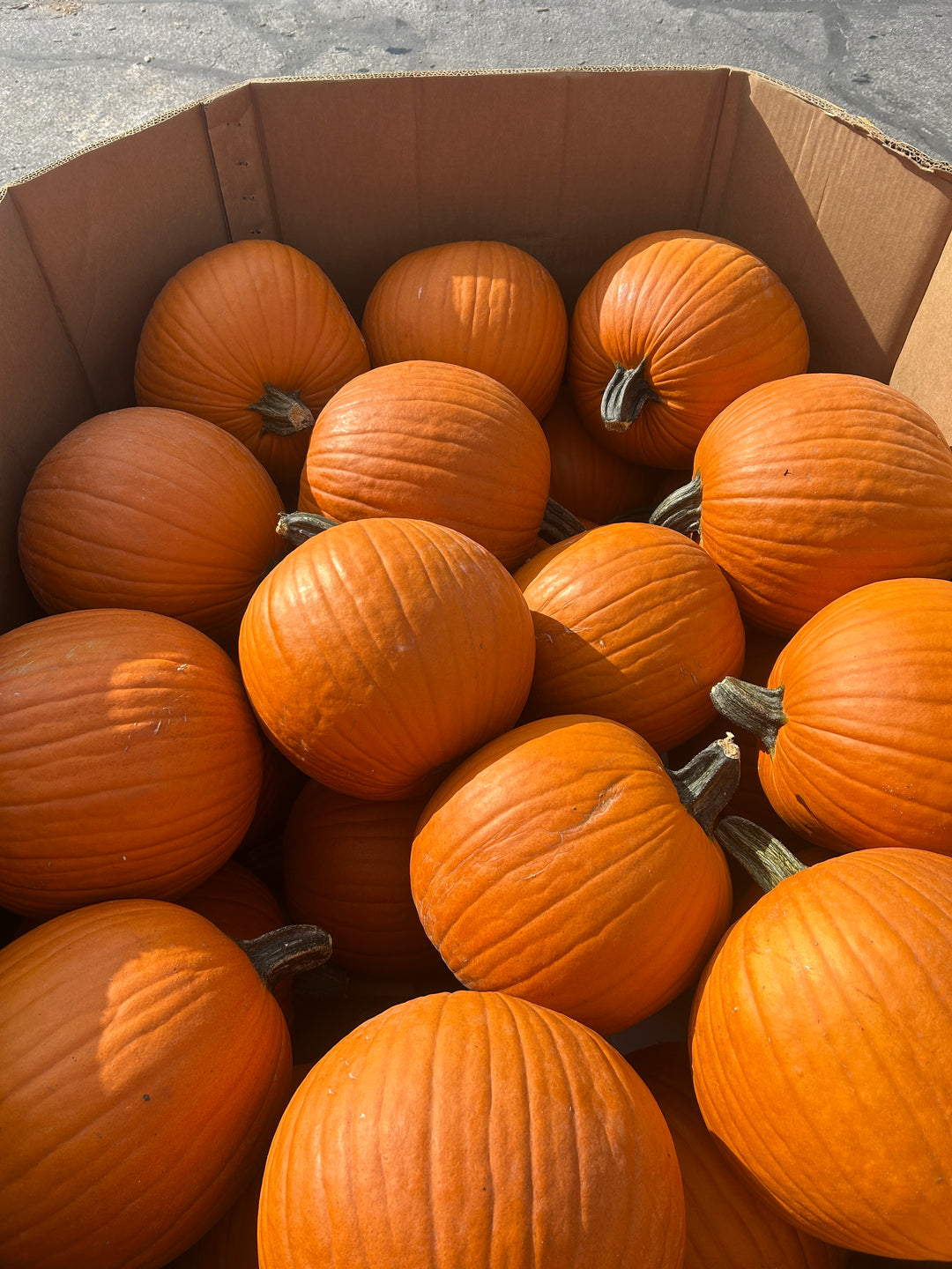 Small Orange Pumpkin