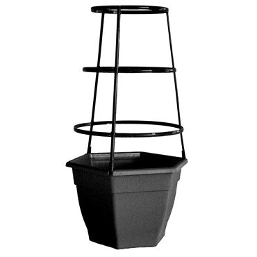 11.5" Kathy Caged Pot - Black