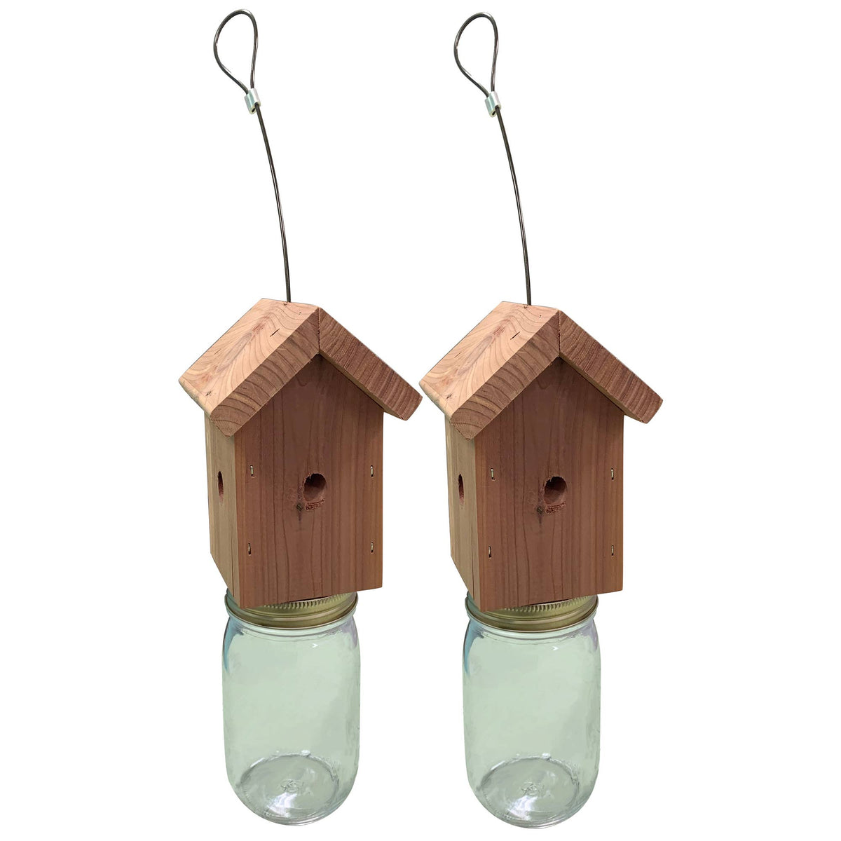 Cedar Bee Catcher