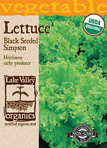 ORGANIC LETTUCE BLACK SEEDED SIMPSON   HEIRLOOM