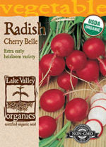 ORGANIC RADISH CHERRY BELLE   HEIRLOOM