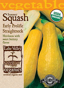 ORGANIC SQUASH SUMMER EARLY PROLIFIC STRAIGHTNECK