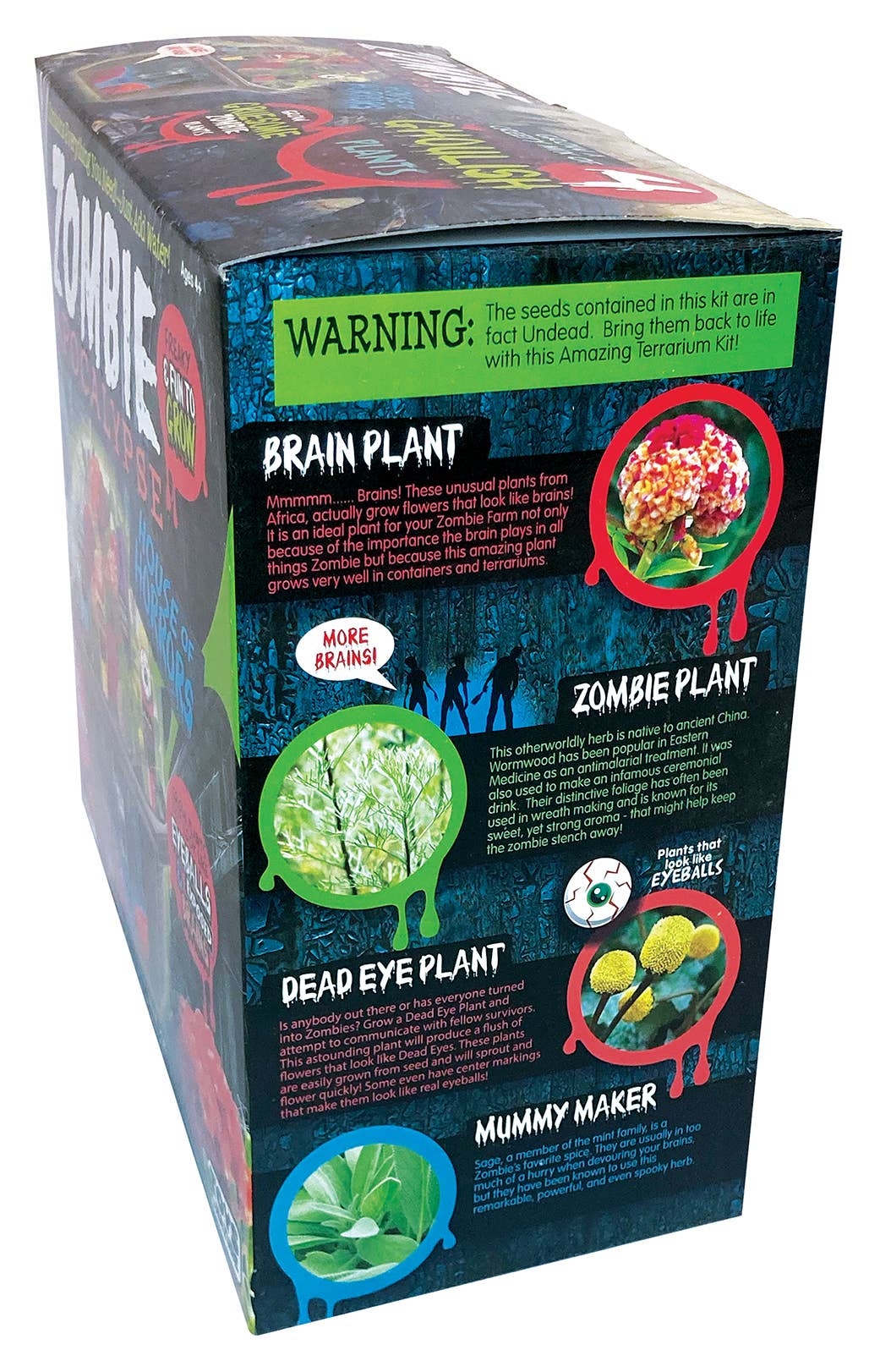 Zombie Apocalypse Biosphere – Pandy's Garden Center