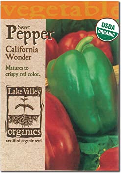 ORGANIC PEPPER SWEET CALIFORNIA WONDER GREEN BELL