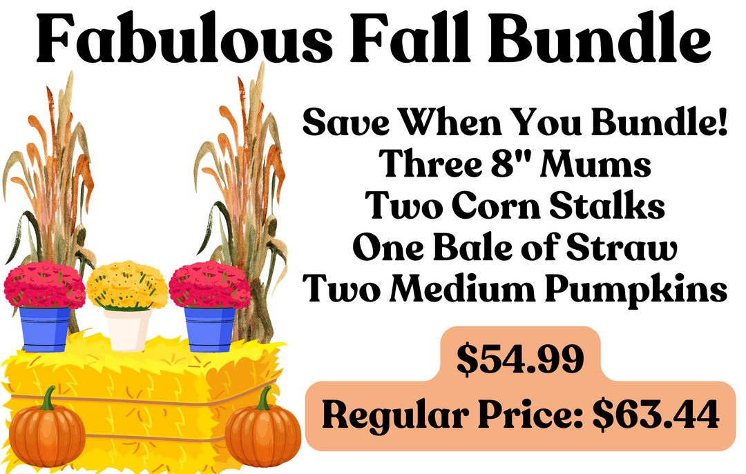 Fabulous Fall Bundle