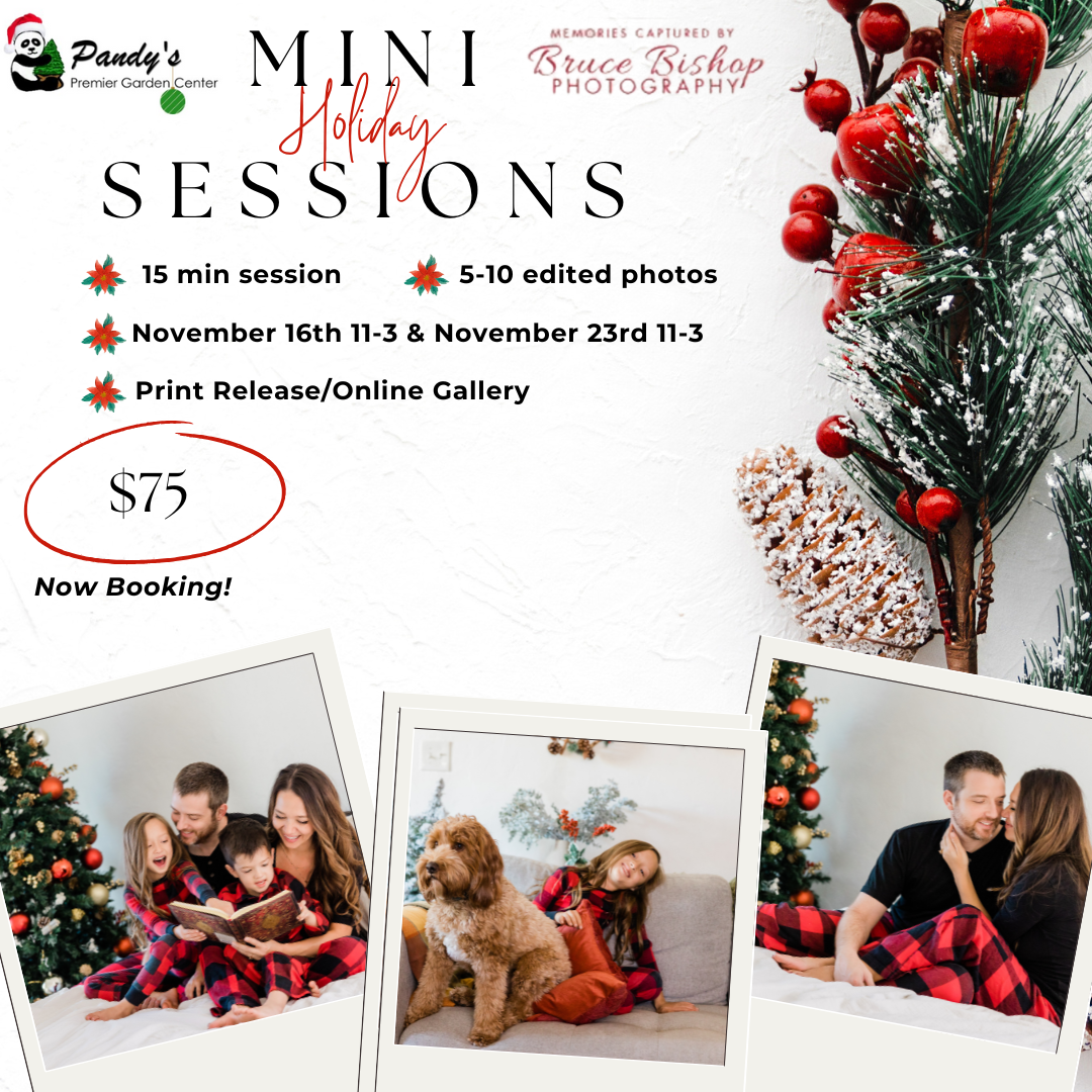 Holiday Mini Sessions by Bruce Bishop Photography